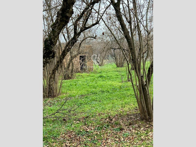 Terreno agricolo in Vendita a Sutri, zona centro, 49'000€, 10000 m²