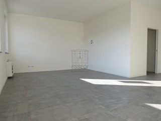 Ufficio in Affitto a Capannori, zona Nord, 500€, 50 m²