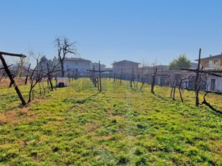 Terreno edificabile in Vendita a Brogliano, 205'000&euro;, 2500 m²