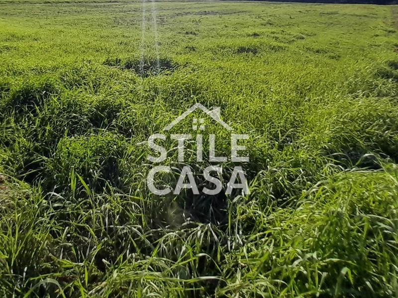 Terreno edificabile in Vendita a Porcari, zona Padule, 65'000€, 2170 m²