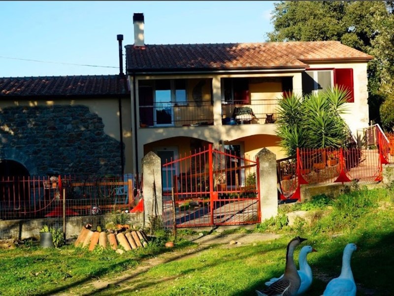 Casale in Vendita a Grosseto, 1'300'000€, 350 m²