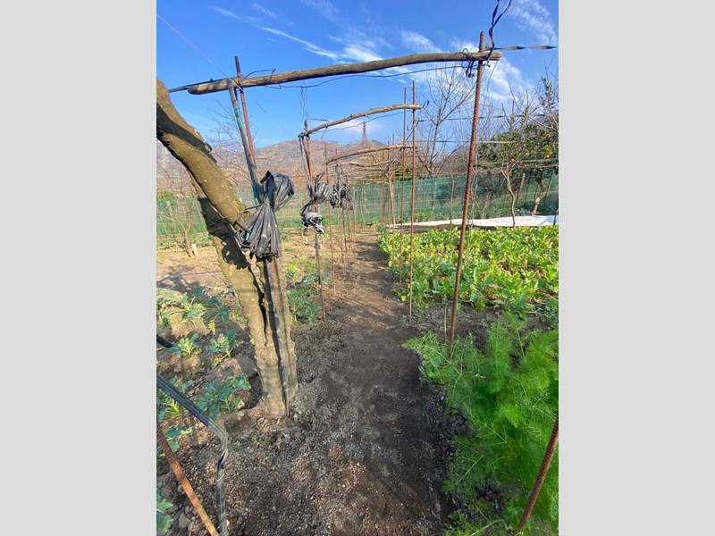 Terreno agricolo in Vendita a Siano, 32'000&euro;, 900 m²