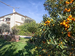 Villa in Vendita a San Giuliano Terme, zona Pontasserchio, 650'000€, 300 m², con Box