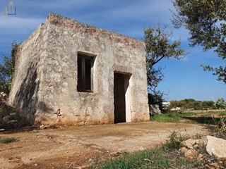 Capannone in Vendita a Polignano a Mare, 65'000€, 15000 m²