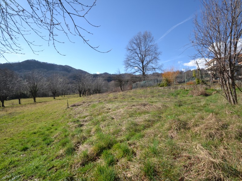 Terreno agricolo in Vendita a Valdagno, zona Castello, 10'000€, 1950 m²