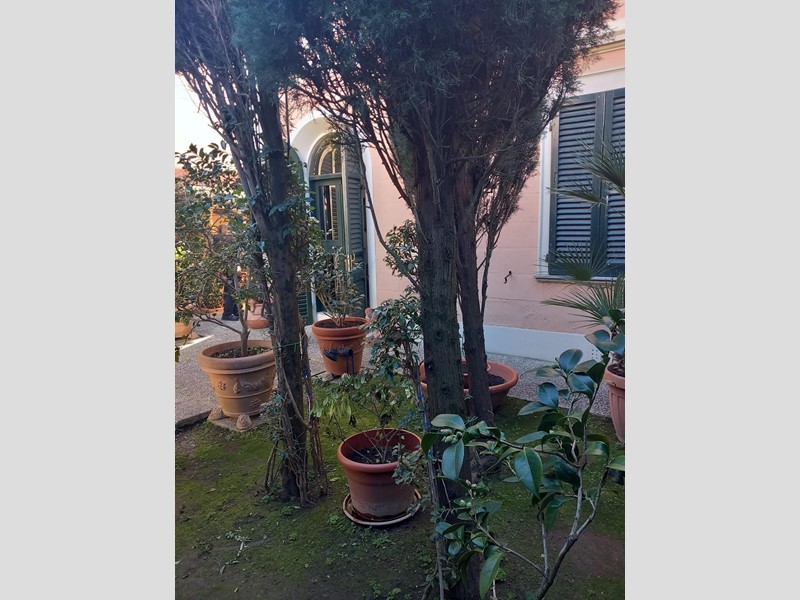 Villa in Vendita a Pisa, 460'000€, 230 m², con Box