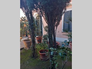 Villa in Vendita a Pisa, 460'000€, 230 m², con Box