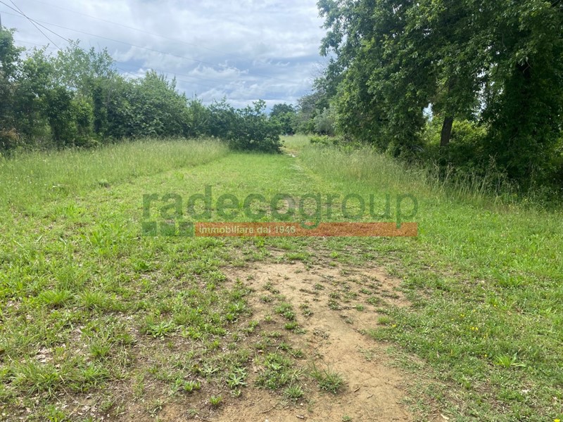 Terreno agricolo in Vendita a Livorno, zona Cisternino, 60'000€, 4200 m²