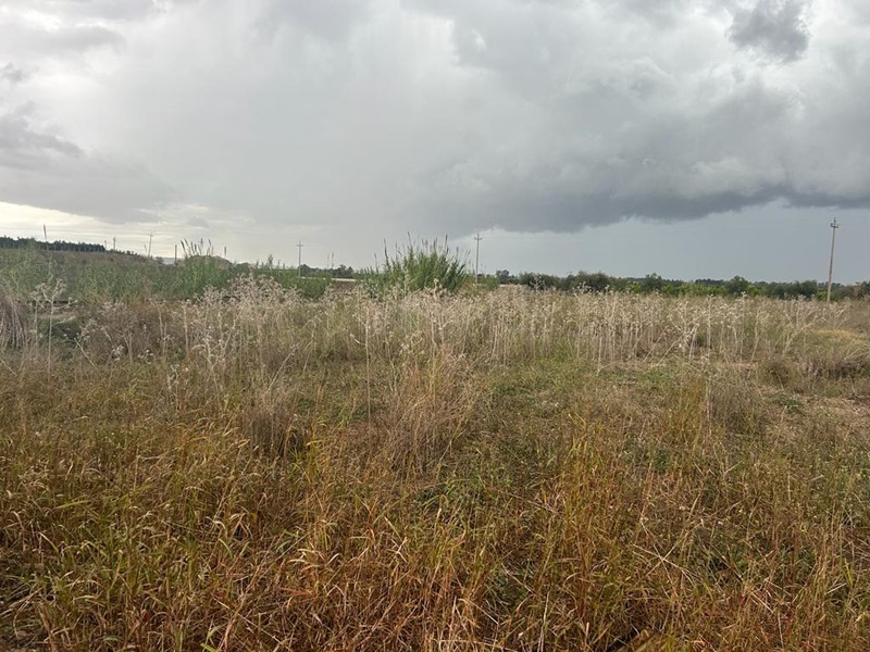 Terreno agricolo in Vendita a Siracusa, zona CIRCUITO - CIANE, 18'000€, 6697 m²