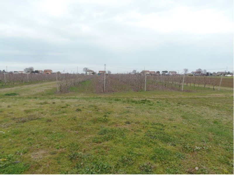 Terreno agricolo in Vendita a Cesena, zona San Giorgio Di Cesena, 15'188€, 10330 m²