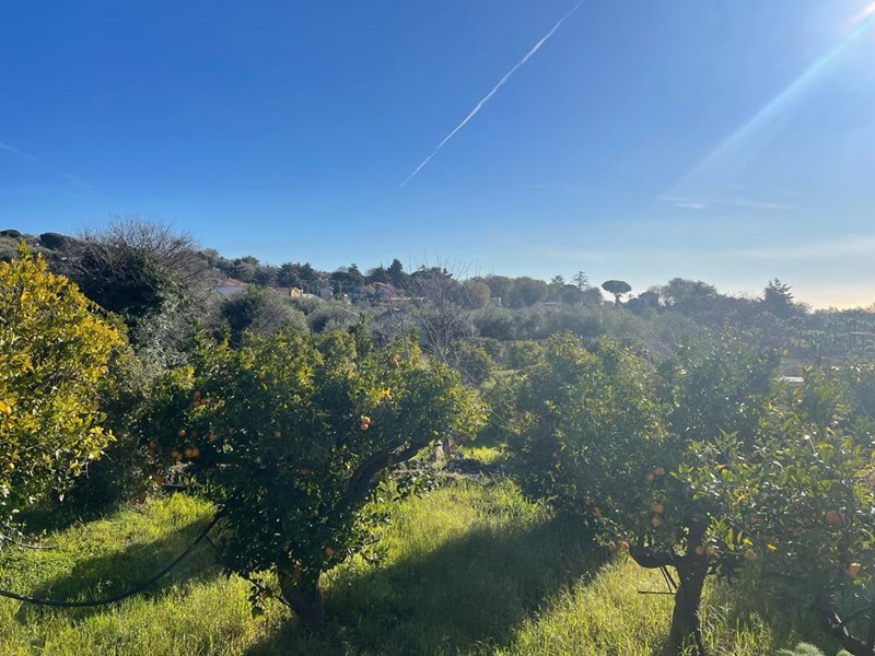 Terreno industriale in Vendita a Trecastagni, 720'000€, 13000 m²