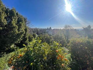 Terreno industriale in Vendita a Trecastagni, 720'000€, 13000 m²