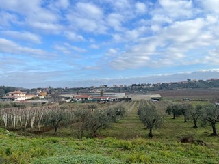 Terreno agricolo in Vendita a Frascati, 45'000&euro;, 4870 m²
