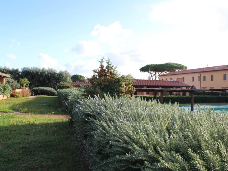 Bilocale in Vendita a San Vincenzo, 165'000€, 40 m², arredato