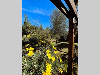 Stanza in Vendita a Castelnuovo di Porto, 179'000&euro;, 160 m²