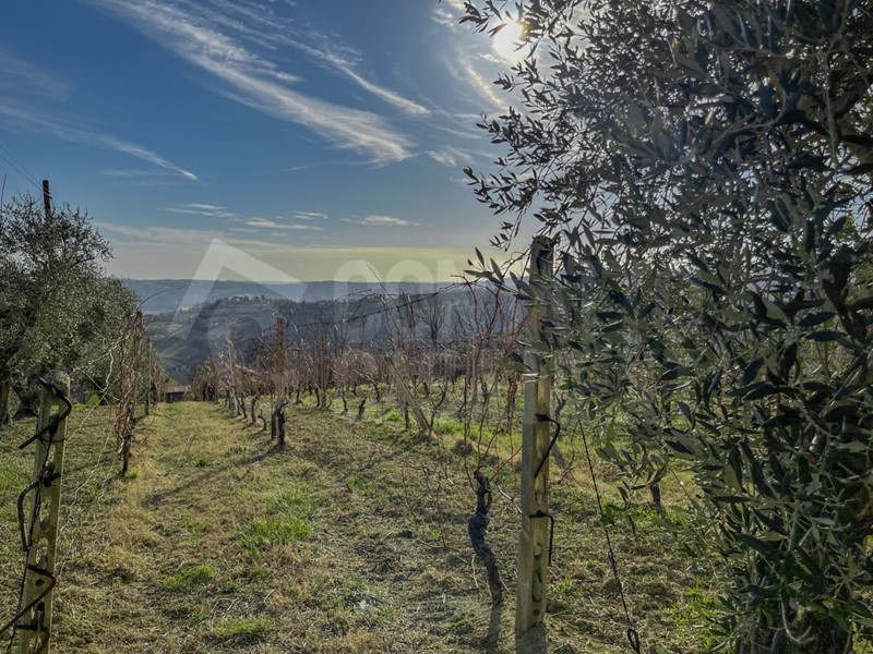 Casa Indipendente in Vendita a Monte Roberto, 96'000€, 160 m²