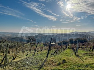 Casa Indipendente in Vendita a Monte Roberto, 96'000€, 160 m²