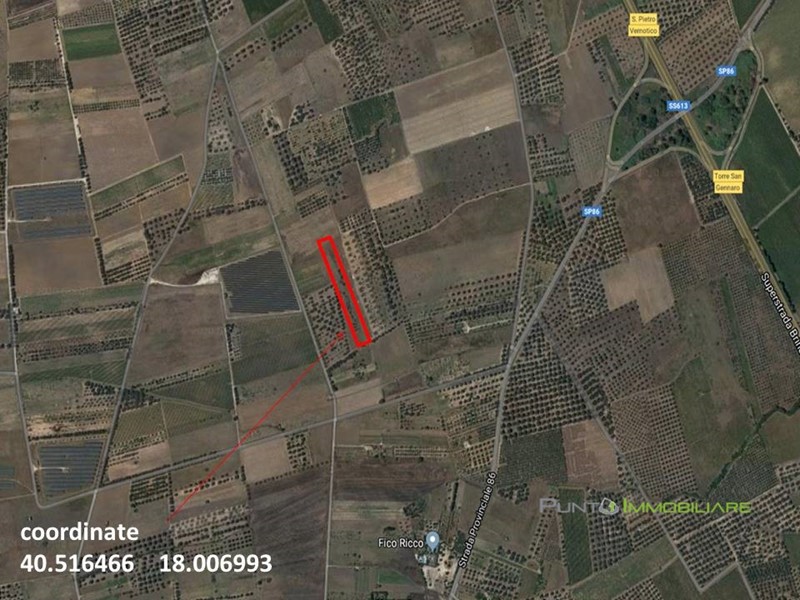 Terreno edificabile in Vendita a San Pietro Vernotico, 3'000&euro;, 3660 m²