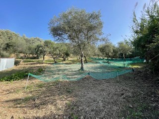 Terreno agricolo in Vendita a Maierà, 18'000€, 5000 m²