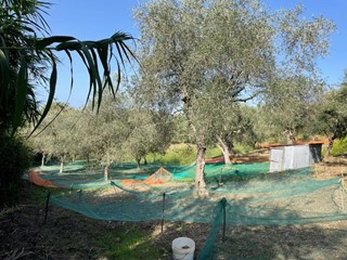 Terreno agricolo in Vendita a Maierà, 18'000€, 5000 m²