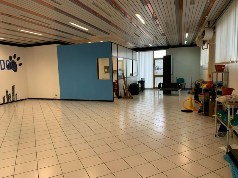 Magazzino in Affitto a Altopascio, zona Badia Pozzeveri, 800€, 190 m²