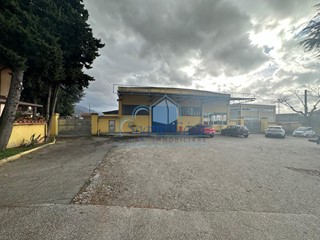 Capannone in Vendita a Massa, zona Romagnano, 1'500'000€, 1600 m²