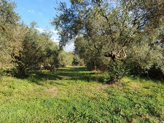 Magazzino in Vendita a Fucecchio, zona Galleno, 120'000€, 125 m²