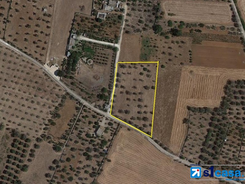 Terreno edificabile in Vendita a Galatone, 25'000€, 10000 m²