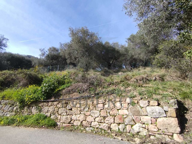 Terreno agricolo in Vendita a Ventimiglia, zona Sealza, 28'000€, 1500 m²