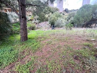 Terreno agricolo in Vendita a Maracalagonis, 17'000&euro;, 998 m²