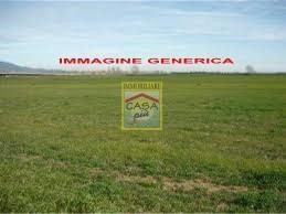 Terreno agricolo in Vendita a Cascina, zona Casciavola, 39'000€, 3000 m²