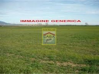 Terreno agricolo in Vendita a Cascina, zona Casciavola, 39'000€, 3000 m²
