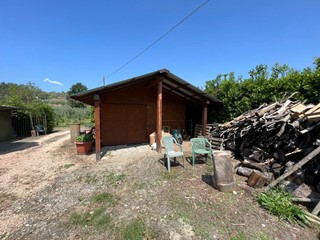 Terreno agricolo in Vendita a Bibbona, 98'000€, 10000 m²