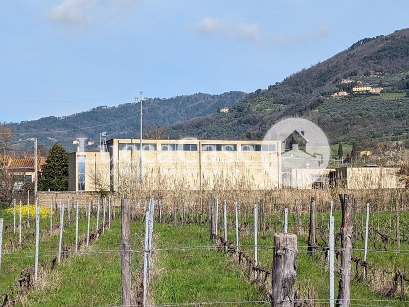 Capannone in Vendita a Lucca, zona Mutigliano, 600'000€, 1050 m²