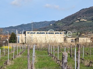 Capannone in Vendita a Lucca, zona Mutigliano, 500'000€, 1050 m²