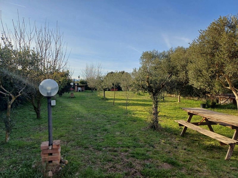 Terreno agricolo in Vendita a Grosseto, 115'000€, 2000 m²
