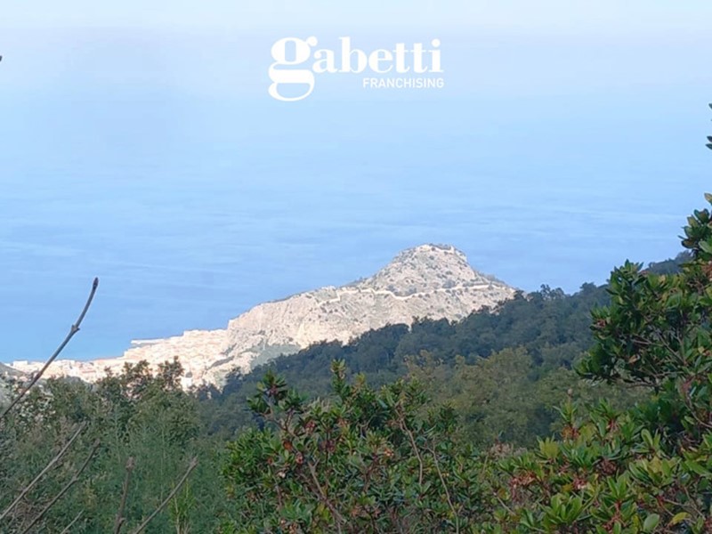 Terreno agricolo in Vendita a Cefalù, 35'000€, 6300 m²