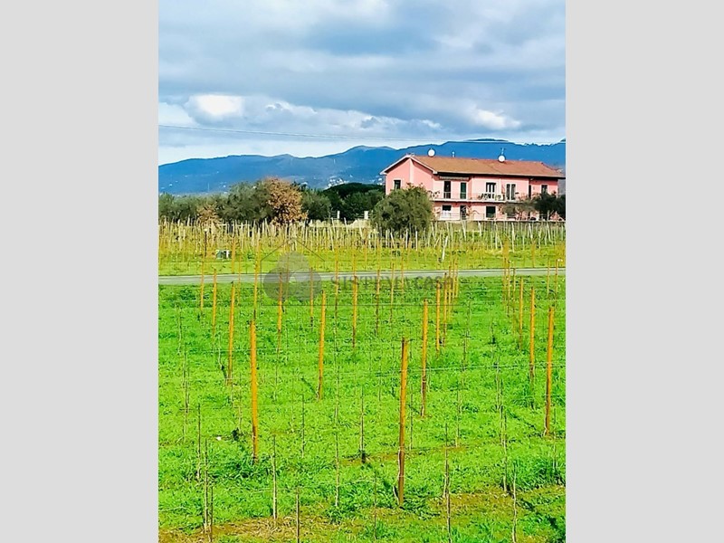 Quadrilocale in Vendita a Luni, 239'000€, 180 m²