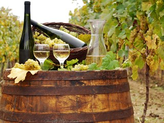 Casa Indipendente in Vendita a Monte Roberto, 65'000€, 274 m²