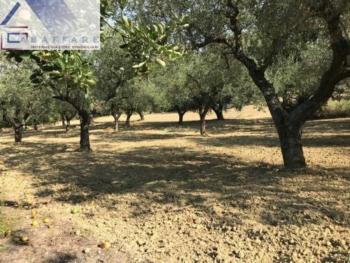 Terreno edificabile in Vendita a Montesilvano, zona via vestina, 45'000€, 1500 m²