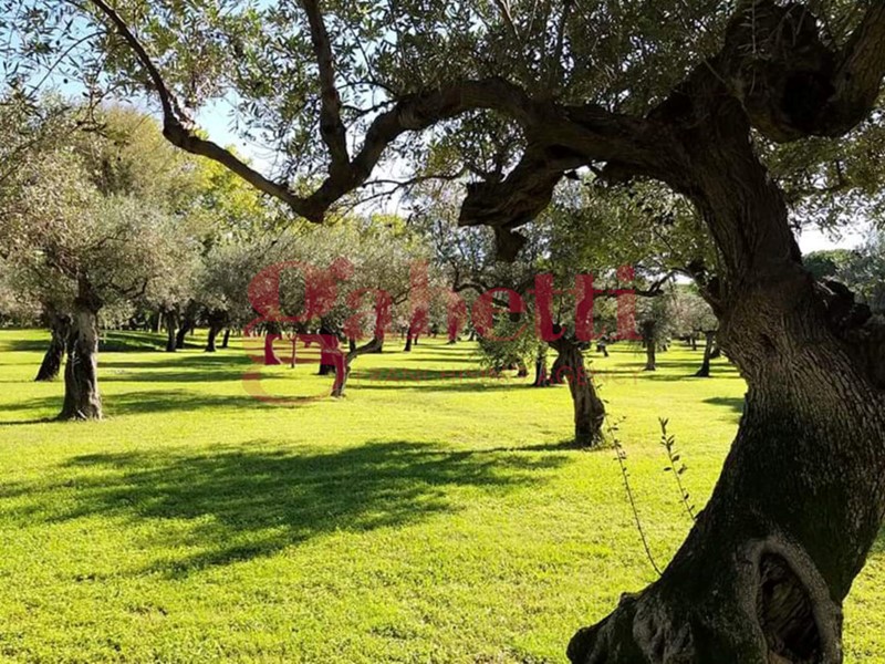 Terreno agricolo in Vendita a Venafro, 58'000€, 5810 m²