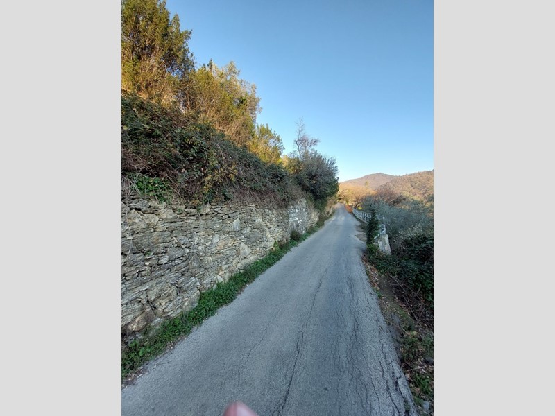 Terreno agricolo in Vendita a Recco, zona Verzemma, 37'000€, 100 m²
