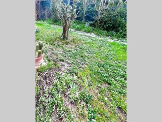 Appartamento in Vendita a Montelupo Fiorentino, 340'000€, 100 m², con Box