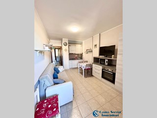 Bilocale in Affitto a Pisa, zona Marina di Pisa, 800€, 40 m², arredato