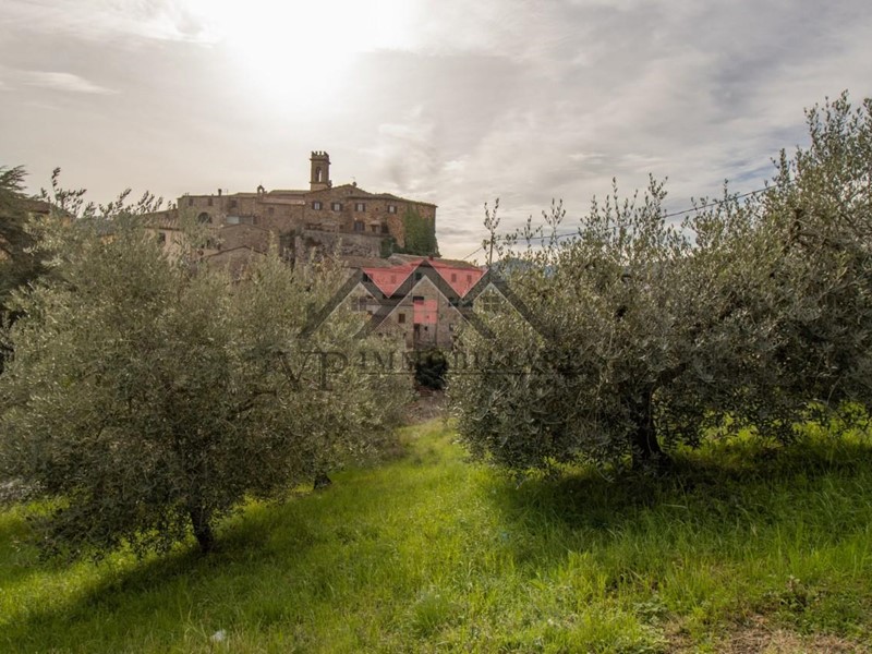 Terreno agricolo in Vendita a Pomarance, zona Montecerboli, 18'000€, 7100 m²
