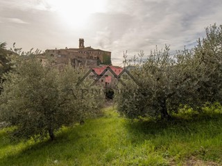 Terreno agricolo in Vendita a Pomarance, zona Montecerboli, 18'000€, 7100 m²