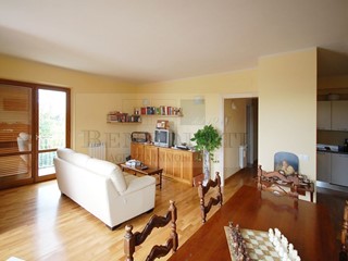 Appartamento in Vendita a Camaiore, zona Capezzano Pianore, 250'000&euro;, 95 m²