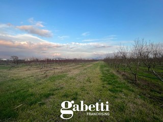Terreno agricolo in Vendita a Pastorano, 34'000€, 9999 m²