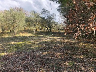 Terreno agricolo in Vendita a Terni, 13'000€, 5600 m²