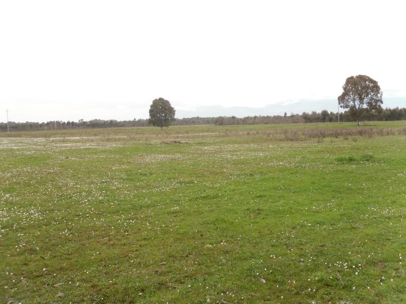 Terreno agricolo in Vendita a Latina, 340'000€, 11500 m²